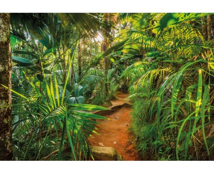 8-989 Фотообои Komar "Jungle Trail"